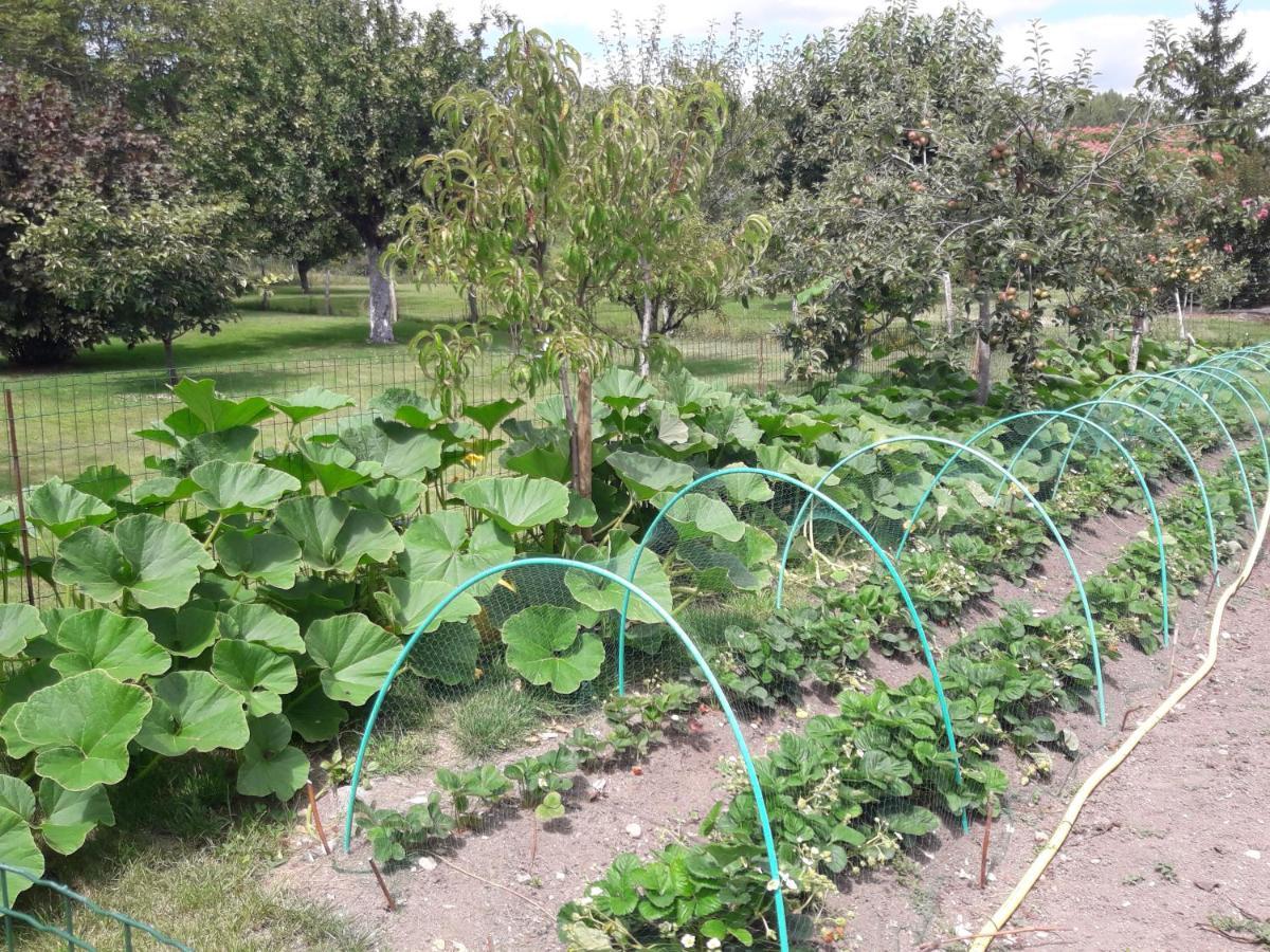 Logis De Lange 2 P