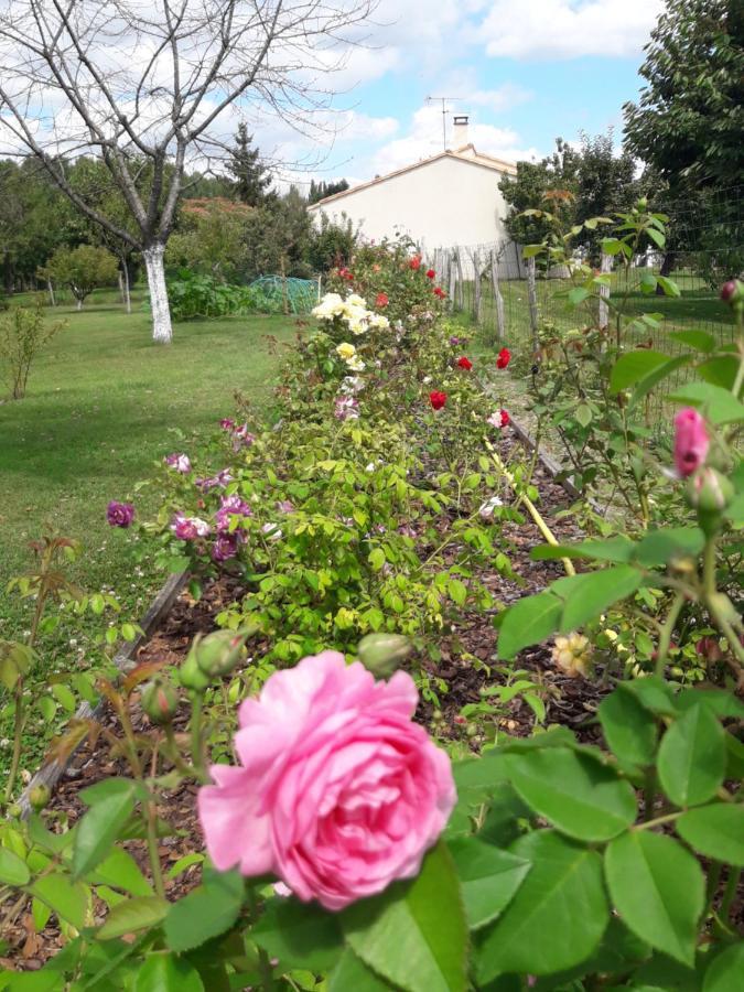 Logis De Lange 2 P Saint-Hilaire-la-Palud