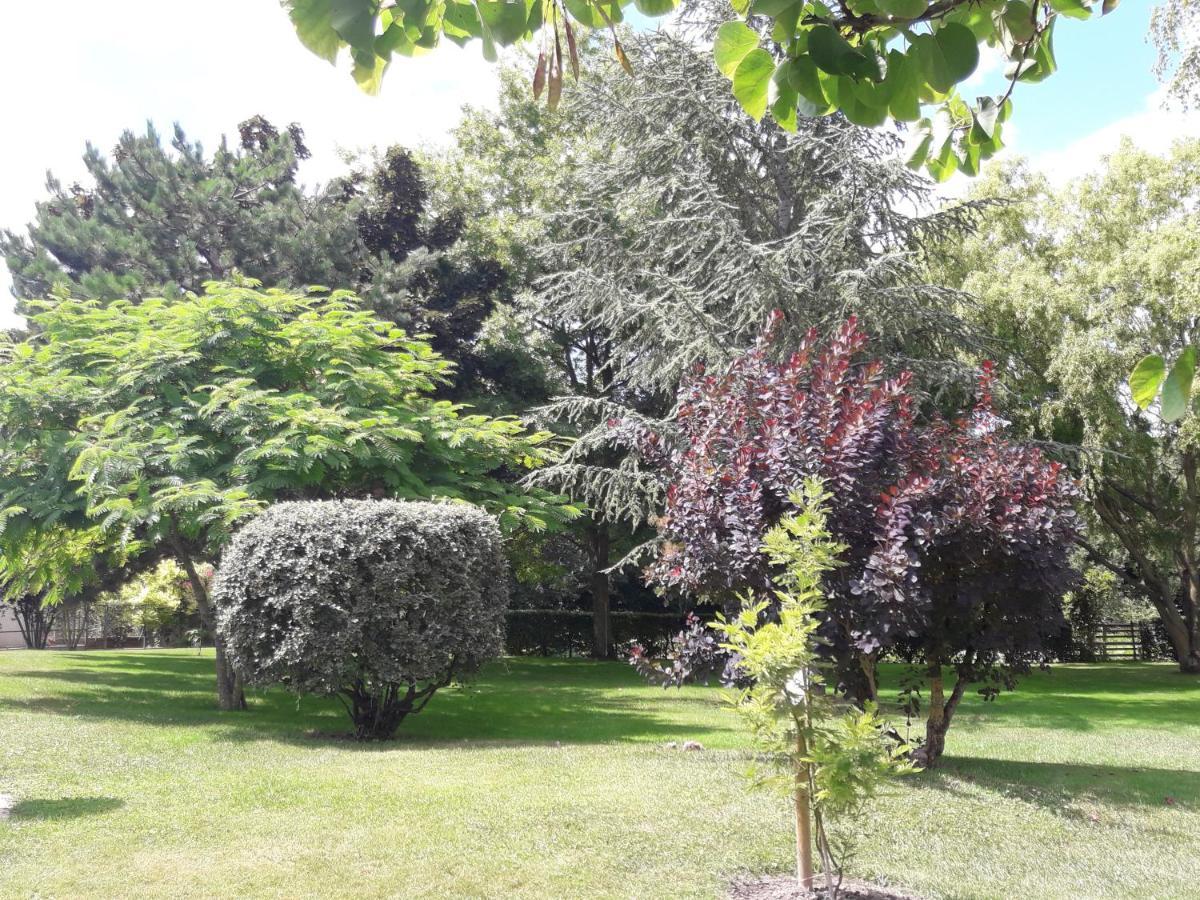 Apartment Logis De Lange 2 P